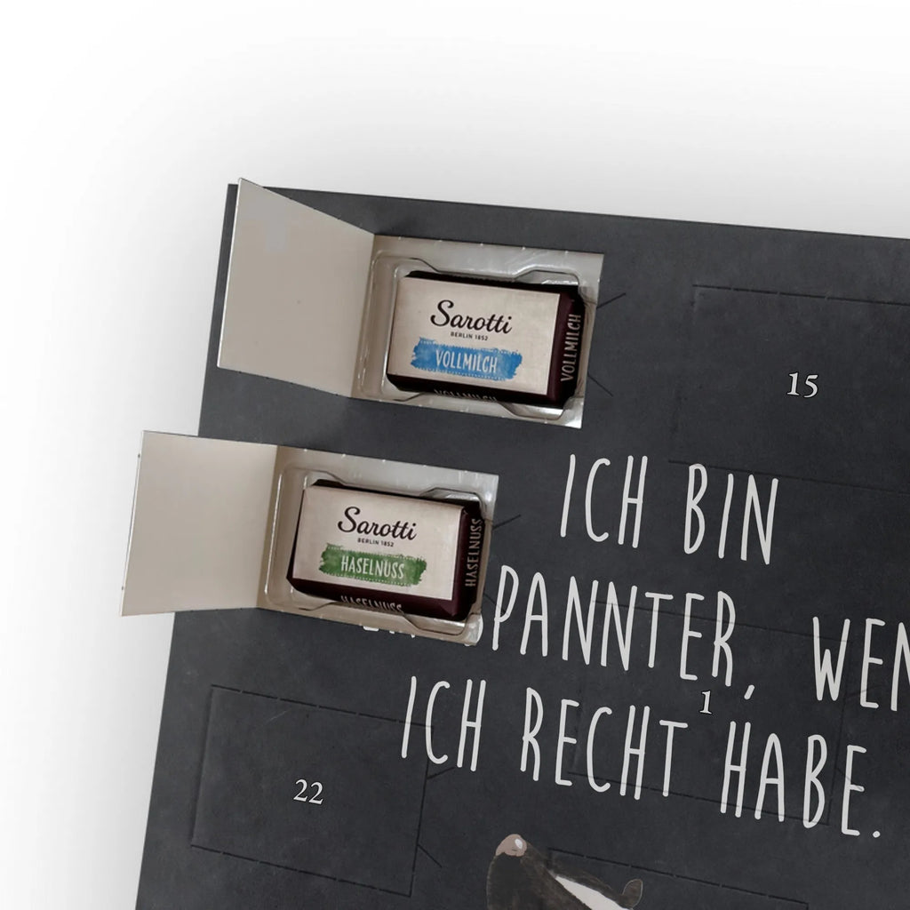  skunk Sit Skunk, skunk, stinky, wild animal, office, know-it-all, slogan, law, stinker, predator