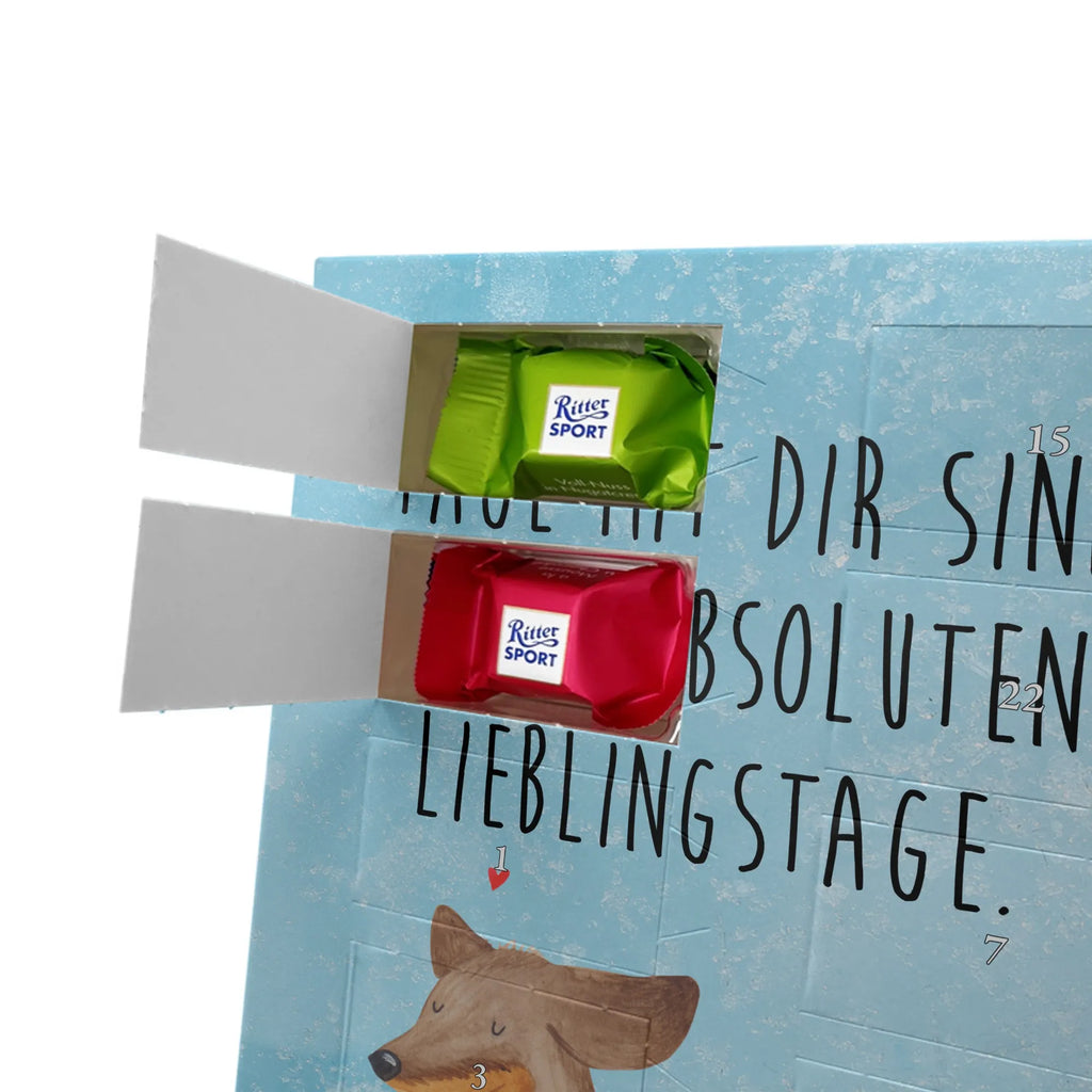  pies Jamnik Pies, motyw psa, zwierzę domowe, rasa psa, miłośnik zwierząt, właściciel psa, powiedzenia