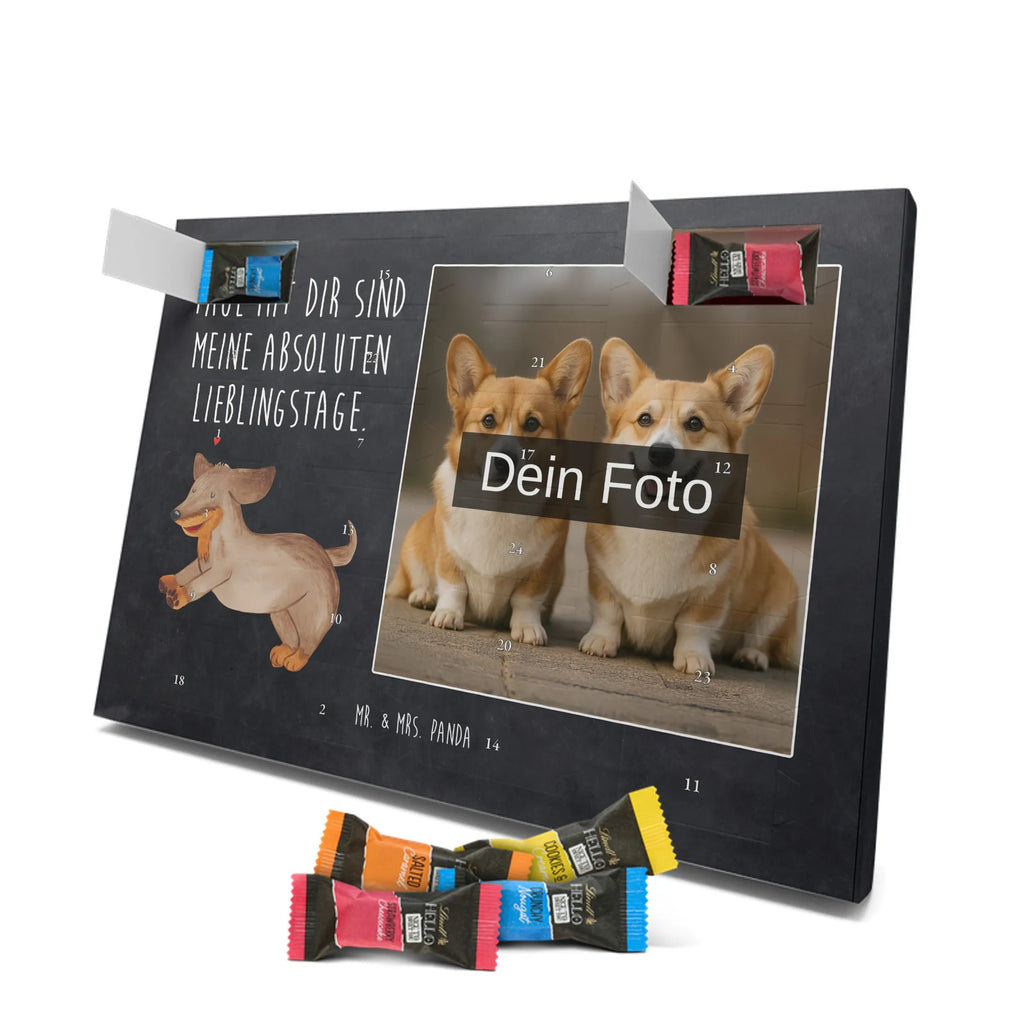  pies Jamnik Pies, motyw psa, zwierzę domowe, rasa psa, miłośnik zwierząt, właściciel psa, powiedzenia