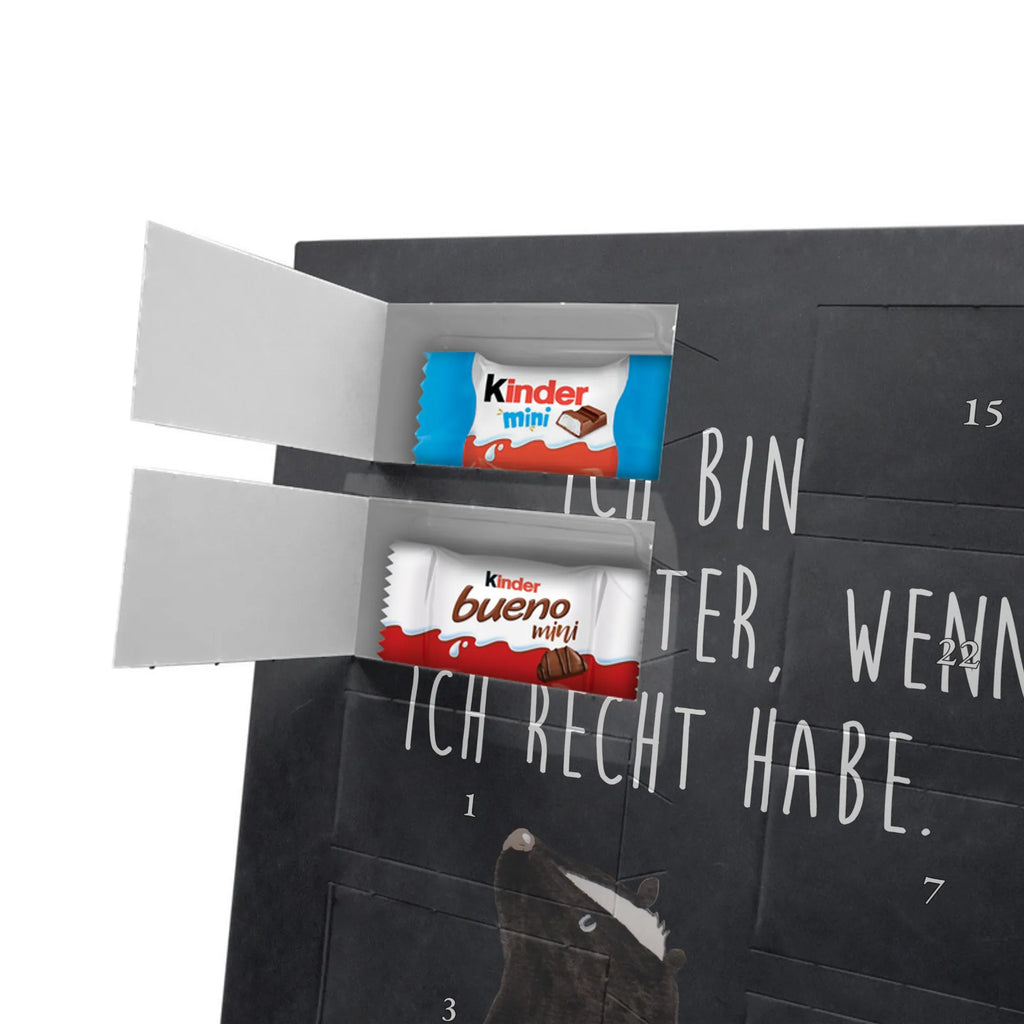  skunk Sit Skunk, skunk, stinky, wild animal, office, know-it-all, slogan, law, stinker, predator