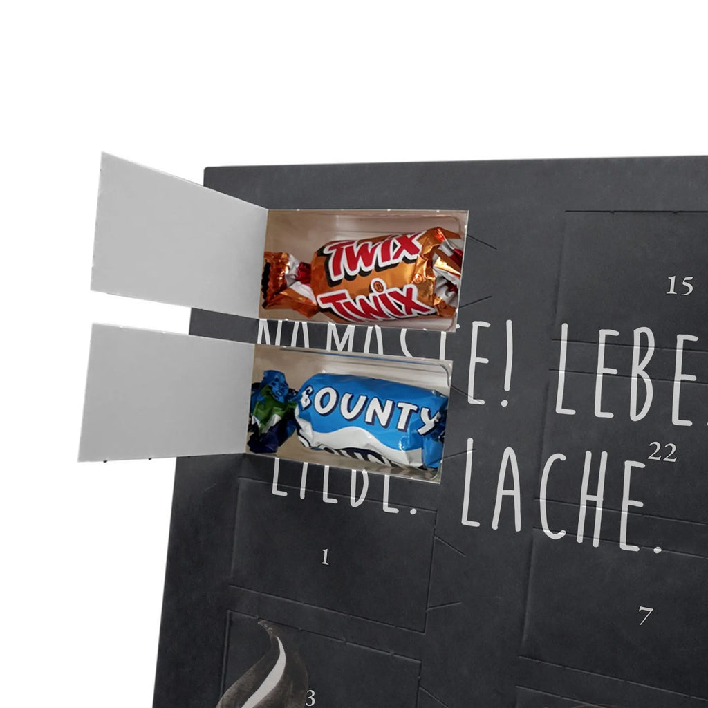  skunk yoga Skunk, Stinky, Love, Laugh, Predator, Live, Namaste, Stinker, Yoga, Wild animal