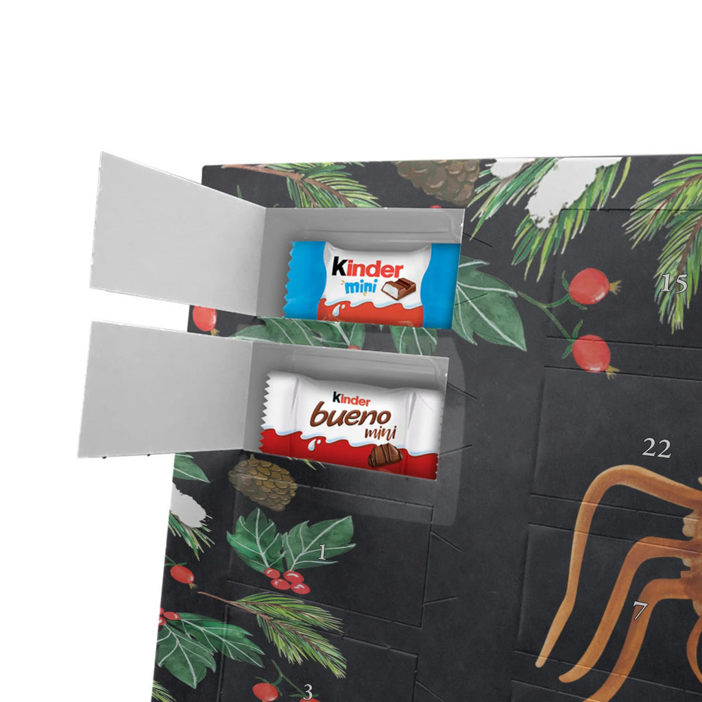 Adventskalender mit Namen Spinne Agathe Sandwich Adventskalender mit Namen, Personalisierter Adventskalender, Videos, Spinne, Merchandise, Spinne Agathe, Agathe, Hungrig, Hunger, Alles Wird gut, Lebensfreude, Glück, Verfressen, Mut