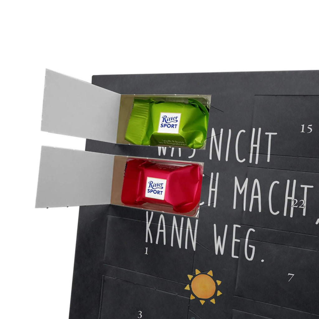  cactus Sun cactus, cactuses, plants, cactus plant, small green cactus, sunshine, divorce, separation, adultery, sun, lovesickness, lovesickness gift, girlfriend, new start, gift idea, happiness, motivation, happy, love cactus love