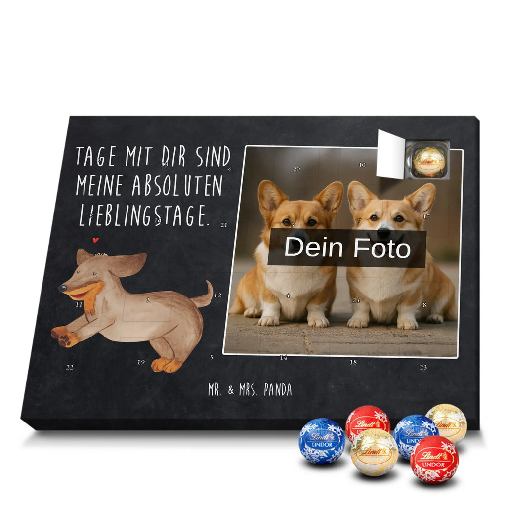  pies Jamnik Pies, motyw psa, zwierzę domowe, rasa psa, miłośnik zwierząt, właściciel psa, powiedzenia