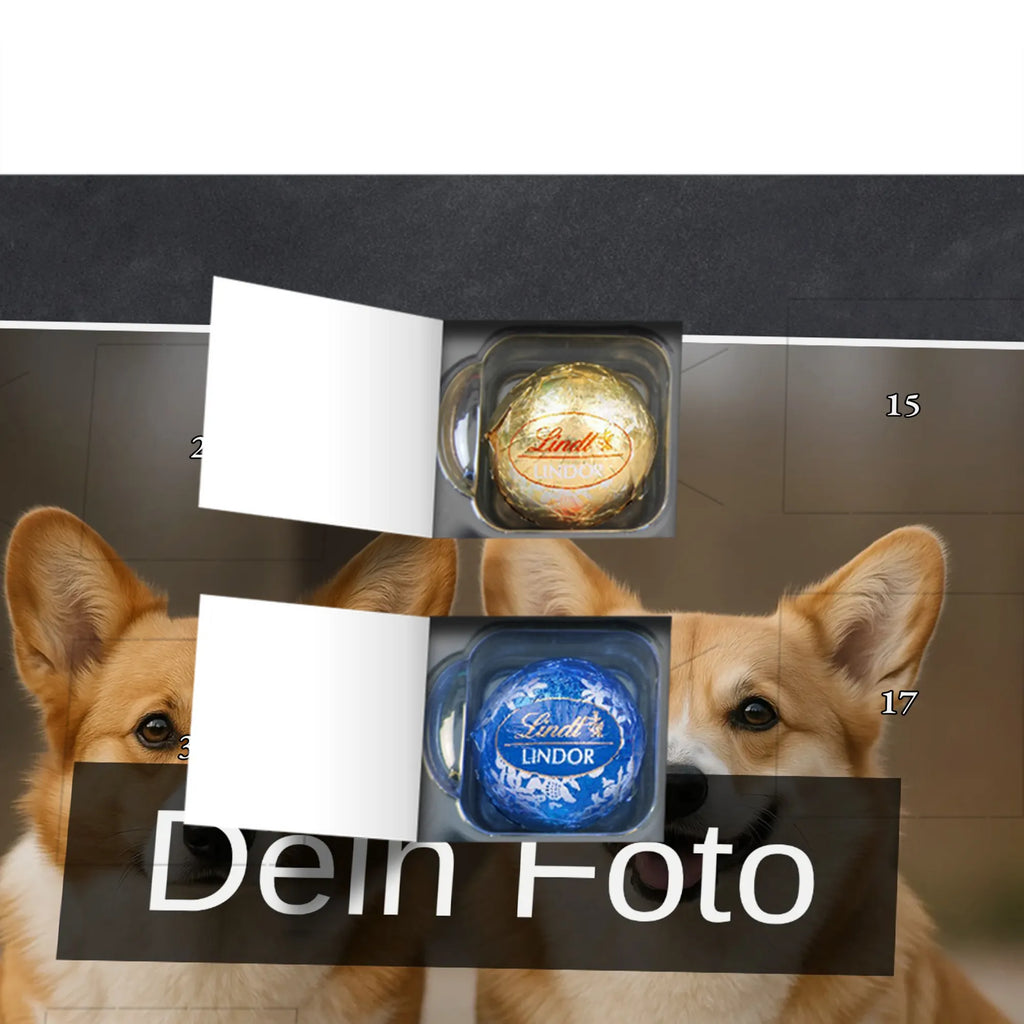  pies Jamnik Pies, motyw psa, zwierzę domowe, rasa psa, miłośnik zwierząt, właściciel psa, powiedzenia