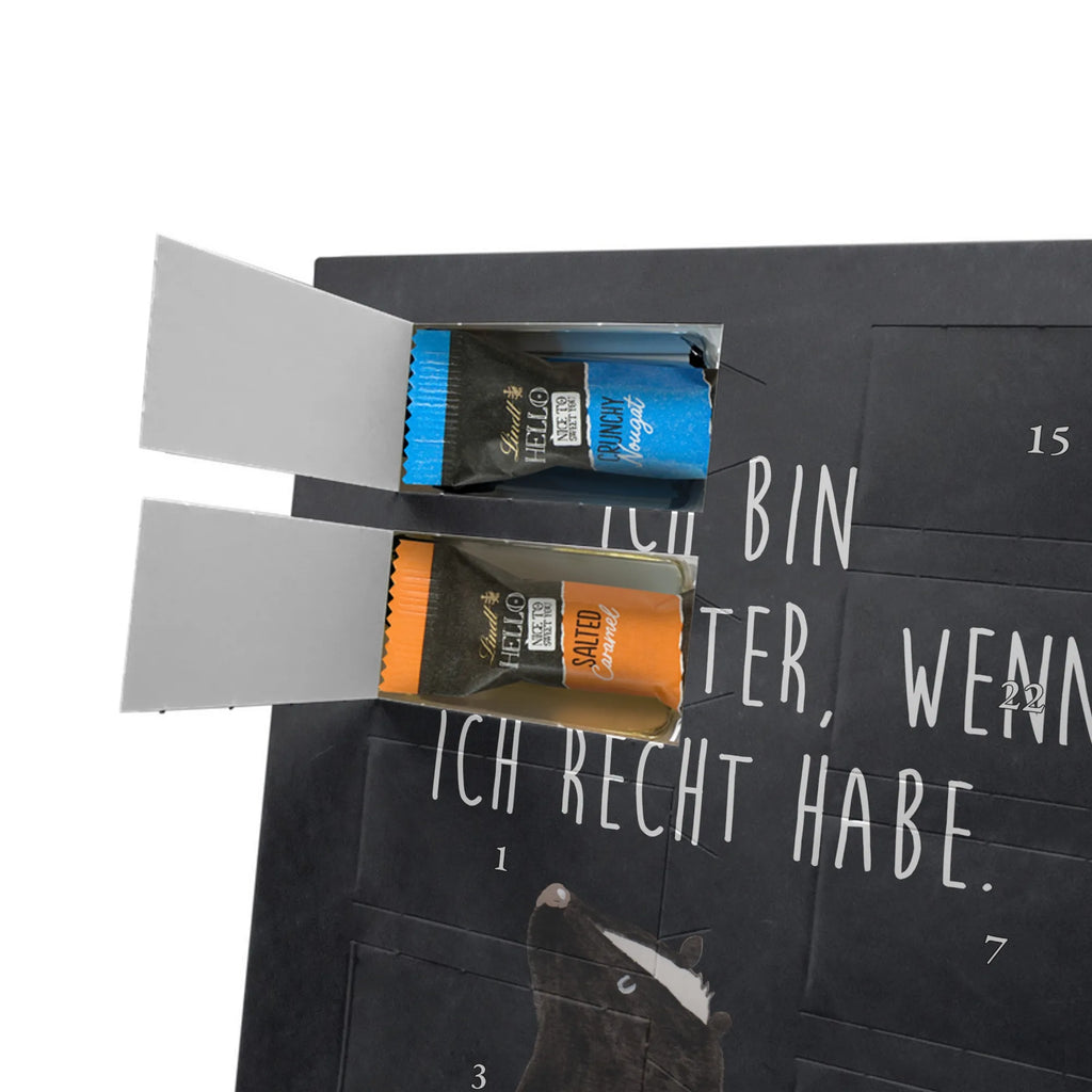  skunk Sit Skunk, skunk, stinky, wild animal, office, know-it-all, slogan, law, stinker, predator