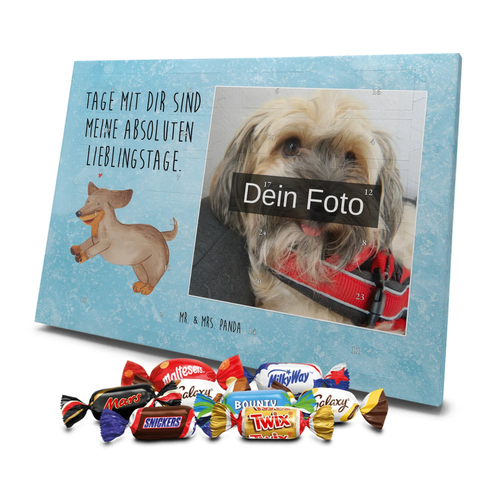  pies Jamnik Pies, motyw psa, zwierzę domowe, rasa psa, miłośnik zwierząt, właściciel psa, powiedzenia