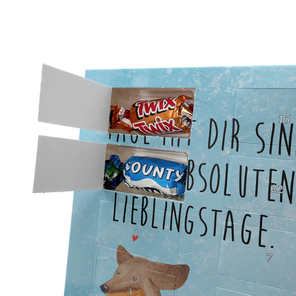  pies Jamnik Pies, motyw psa, zwierzę domowe, rasa psa, miłośnik zwierząt, właściciel psa, powiedzenia