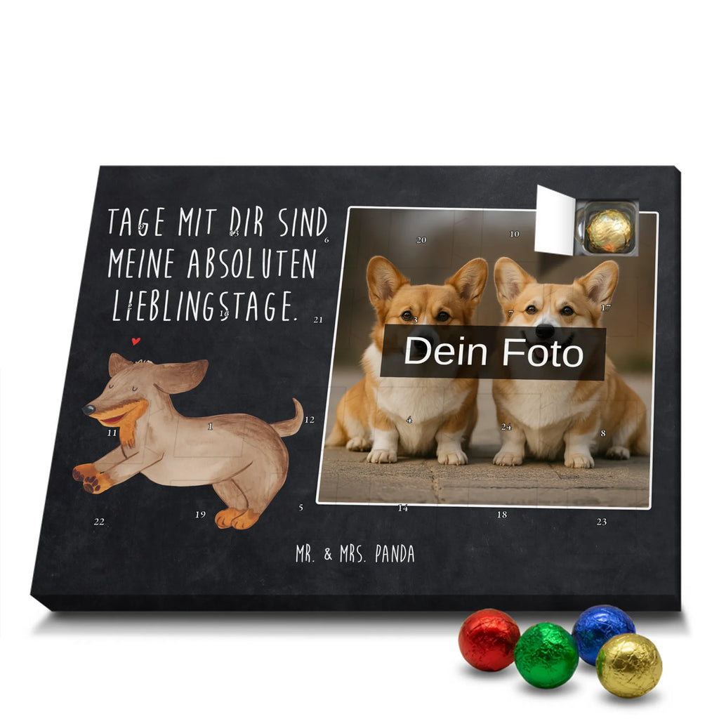  pies Jamnik Pies, motyw psa, zwierzę domowe, rasa psa, miłośnik zwierząt, właściciel psa, powiedzenia