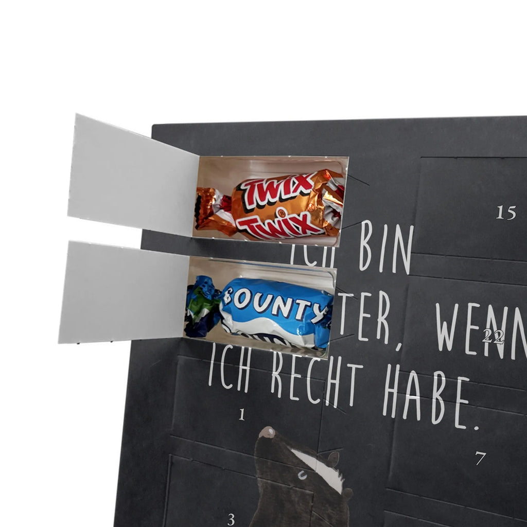  skunk Sit Skunk, skunk, stinky, wild animal, office, know-it-all, slogan, law, stinker, predator