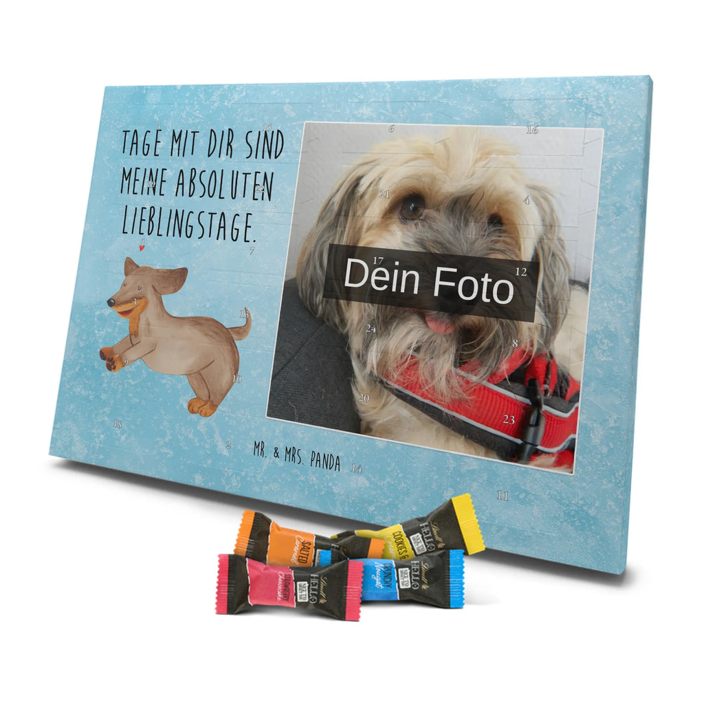  pies Jamnik Pies, motyw psa, zwierzę domowe, rasa psa, miłośnik zwierząt, właściciel psa, powiedzenia