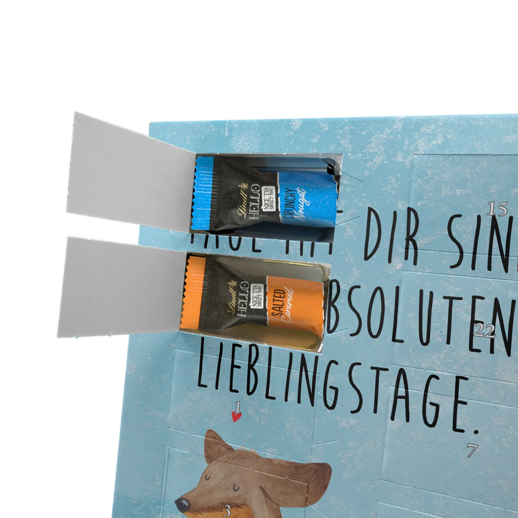  pies Jamnik Pies, motyw psa, zwierzę domowe, rasa psa, miłośnik zwierząt, właściciel psa, powiedzenia