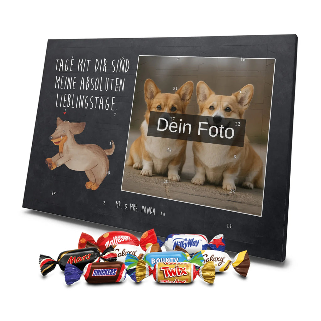  pies Jamnik Pies, motyw psa, zwierzę domowe, rasa psa, miłośnik zwierząt, właściciel psa, powiedzenia