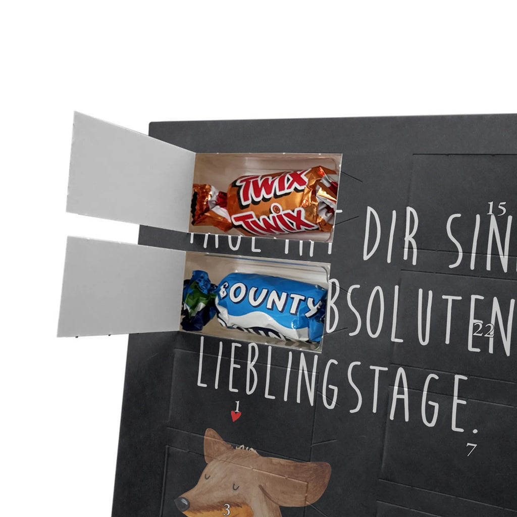  pies Jamnik Pies, motyw psa, zwierzę domowe, rasa psa, miłośnik zwierząt, właściciel psa, powiedzenia