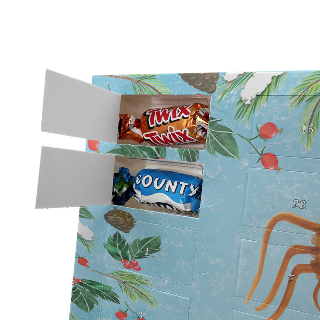  Spider Agathe Sandwich Spider Agathe, Spider