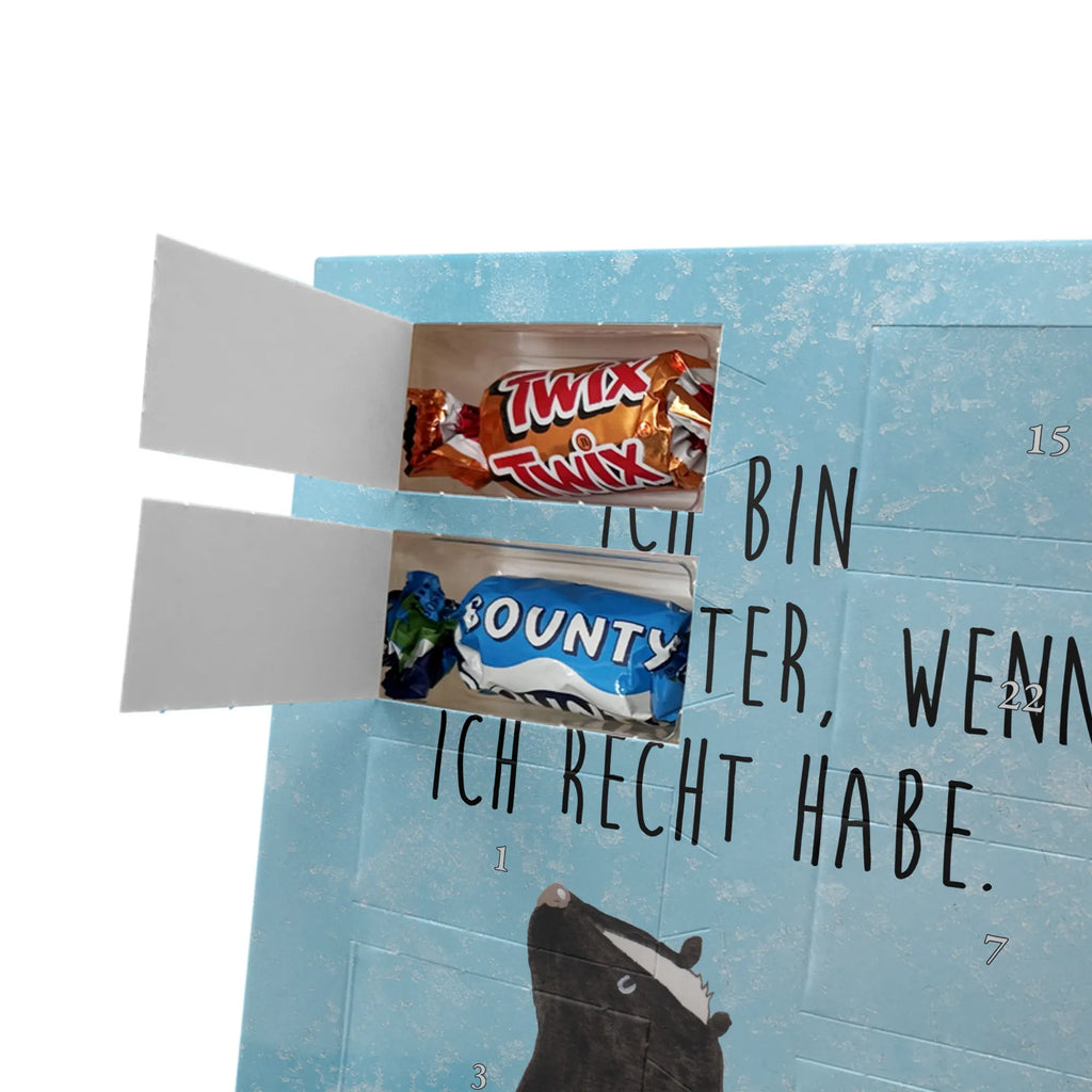  skunk Sit Skunk, skunk, stinky, wild animal, office, know-it-all, slogan, law, stinker, predator