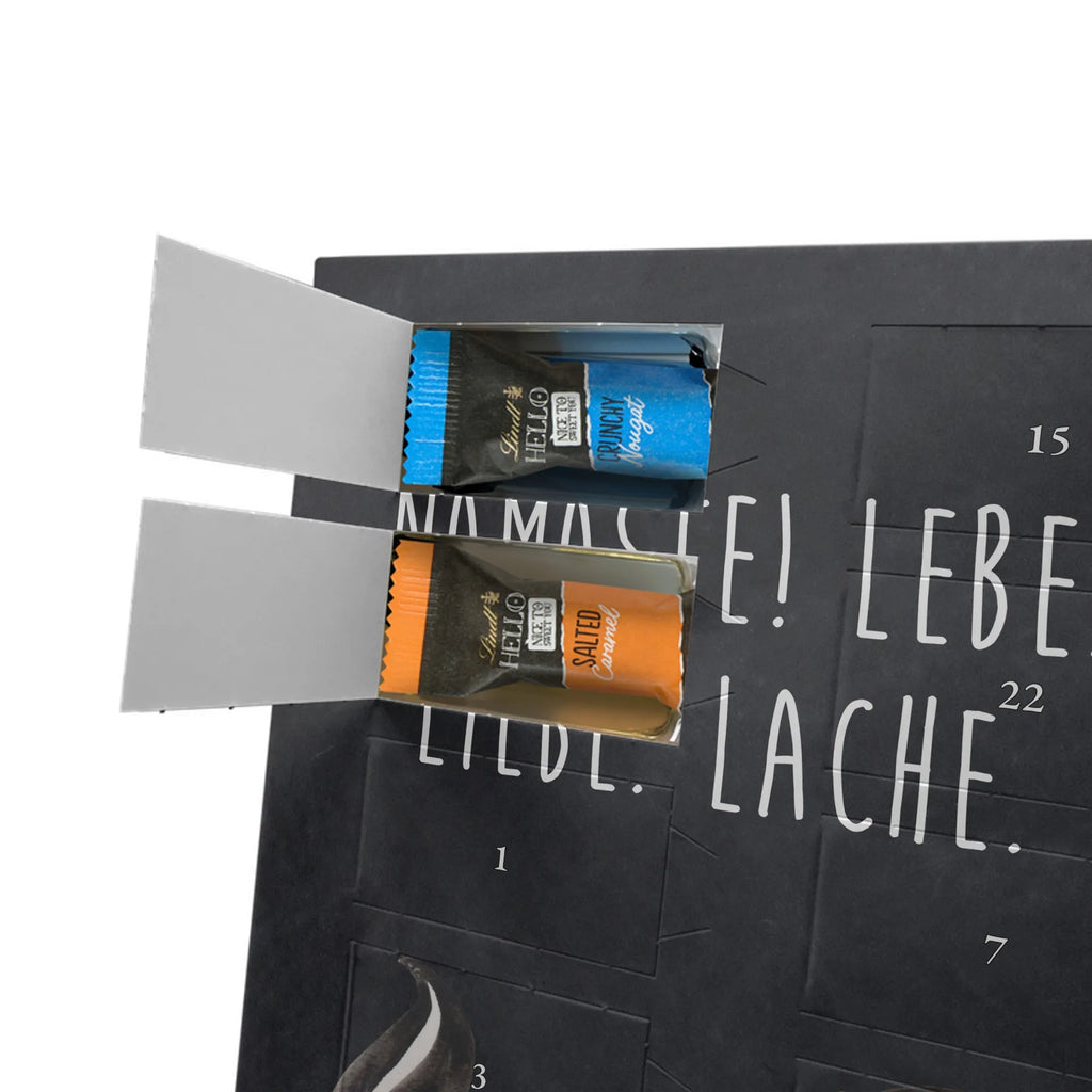  skunk yoga Skunk, Stinky, Love, Laugh, Predator, Live, Namaste, Stinker, Yoga, Wild animal