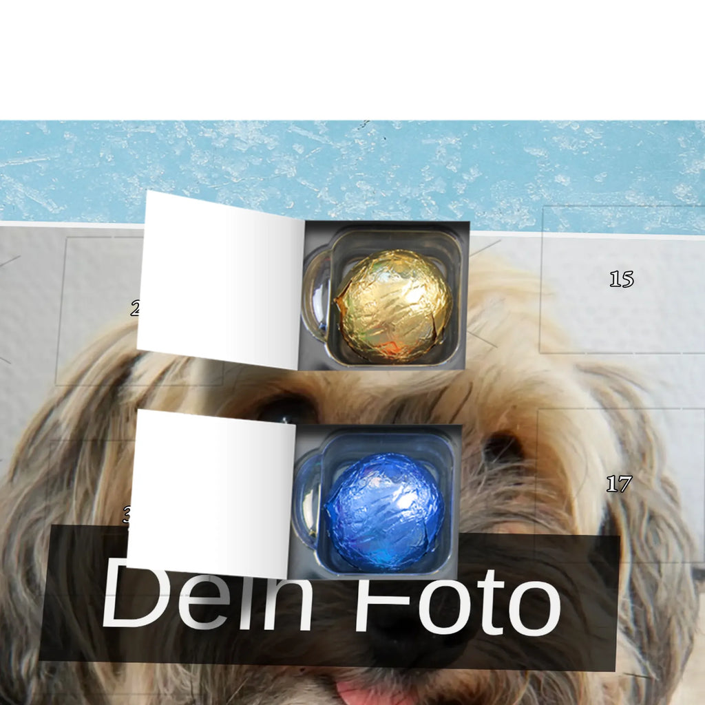  pies Jamnik Pies, motyw psa, zwierzę domowe, rasa psa, miłośnik zwierząt, właściciel psa, powiedzenia