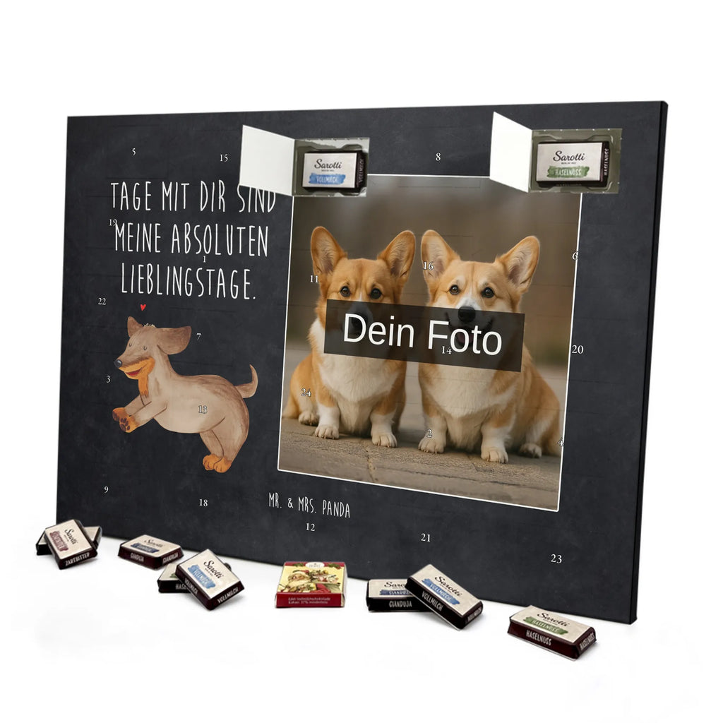  pies Jamnik Pies, motyw psa, zwierzę domowe, rasa psa, miłośnik zwierząt, właściciel psa, powiedzenia