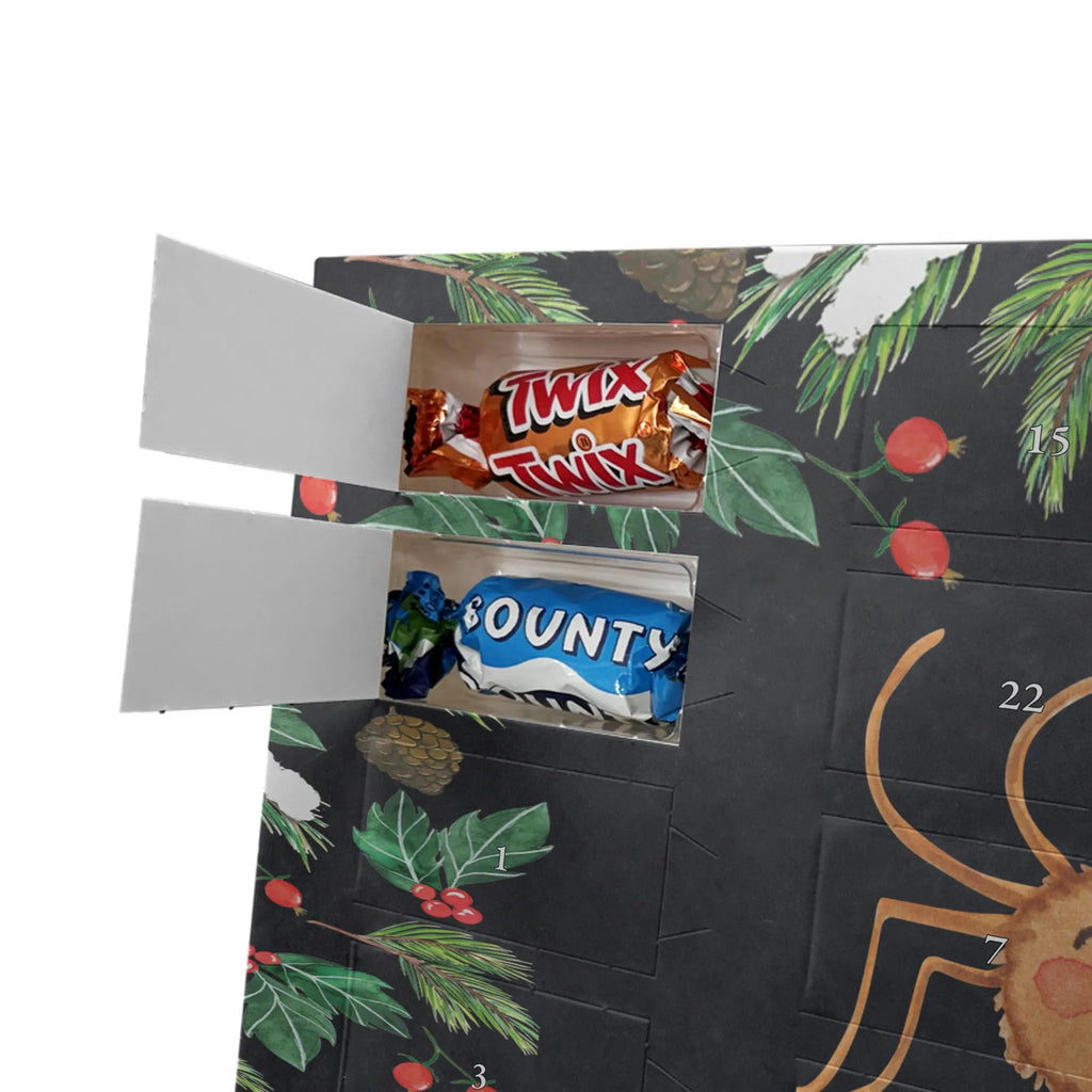 Adventskalender mit Namen Spinne Agathe Motivation Adventskalender mit Namen, Personalisierter Adventskalender, Videos, Spinne, Merchandise, Spinne Agathe, Agathe, Motivation, Dankeschön, Vertrauen, Liebe, Glück