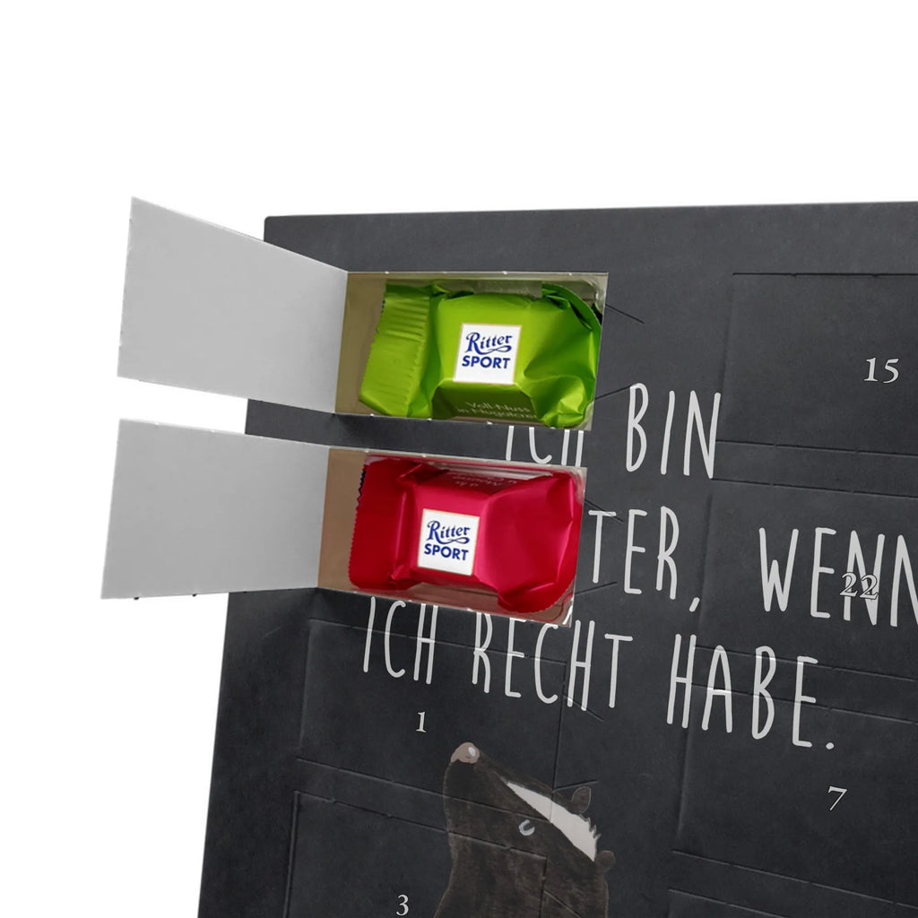  skunk Sit Skunk, skunk, stinky, wild animal, office, know-it-all, slogan, law, stinker, predator