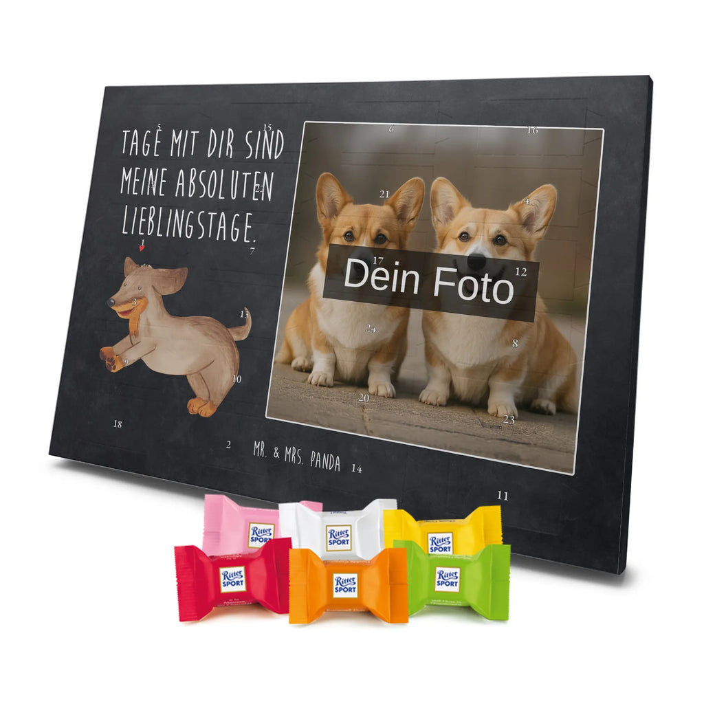  pies Jamnik Pies, motyw psa, zwierzę domowe, rasa psa, miłośnik zwierząt, właściciel psa, powiedzenia