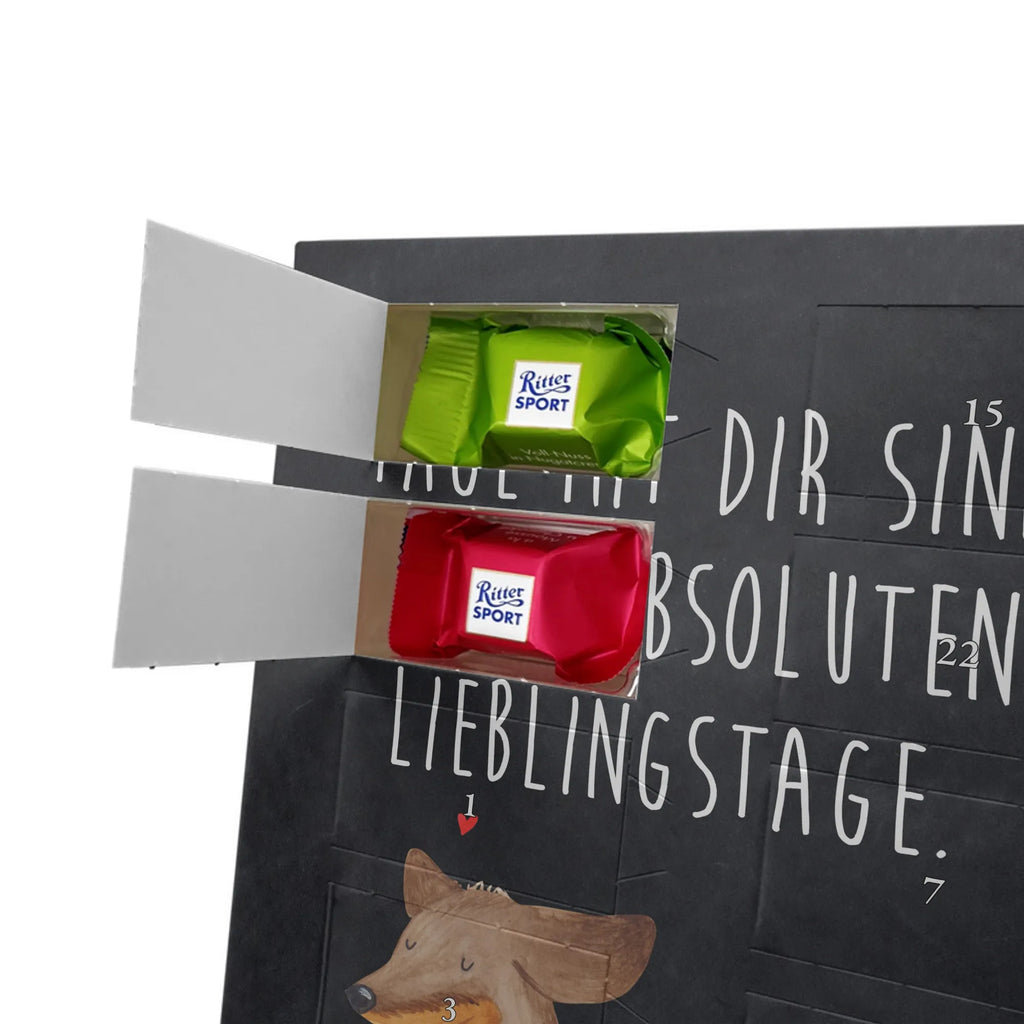  pies Jamnik Pies, motyw psa, zwierzę domowe, rasa psa, miłośnik zwierząt, właściciel psa, powiedzenia