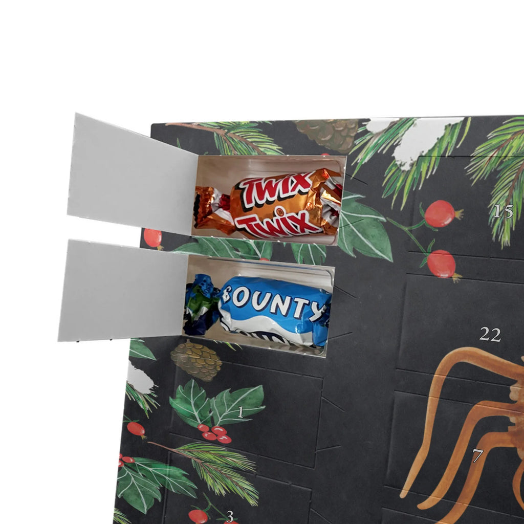 Adventskalender mit Namen Spinne Agathe Sandwich Adventskalender mit Namen, Personalisierter Adventskalender, Videos, Spinne, Merchandise, Spinne Agathe, Agathe, Hungrig, Hunger, Alles Wird gut, Lebensfreude, Glück, Verfressen, Mut