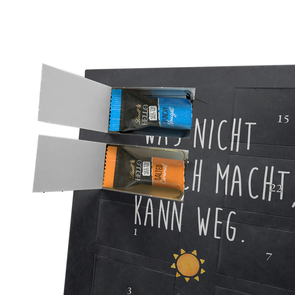  cactus Sun cactus, cactuses, plants, cactus plant, small green cactus, sunshine, divorce, separation, adultery, sun, lovesickness, lovesickness gift, girlfriend, new start, gift idea, happiness, motivation, happy, love cactus love