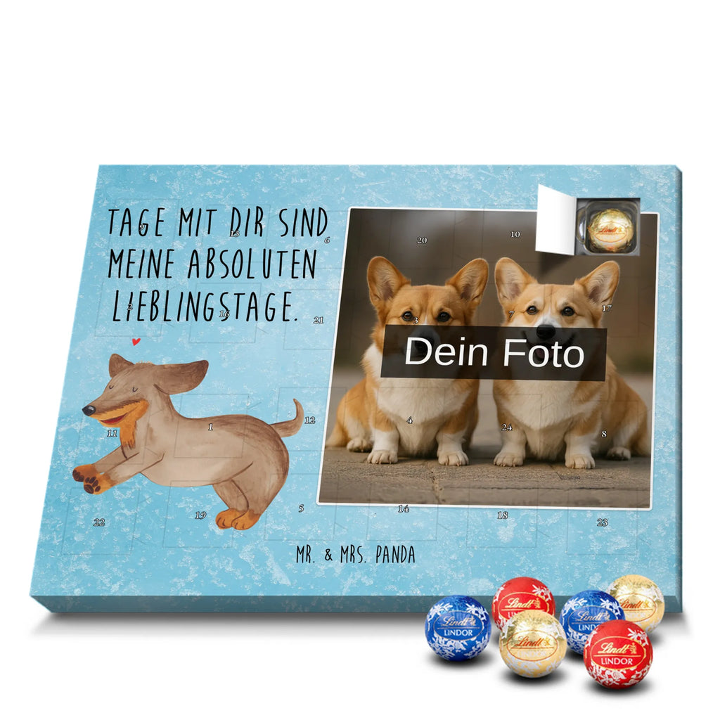  pies Jamnik Pies, motyw psa, zwierzę domowe, rasa psa, miłośnik zwierząt, właściciel psa, powiedzenia