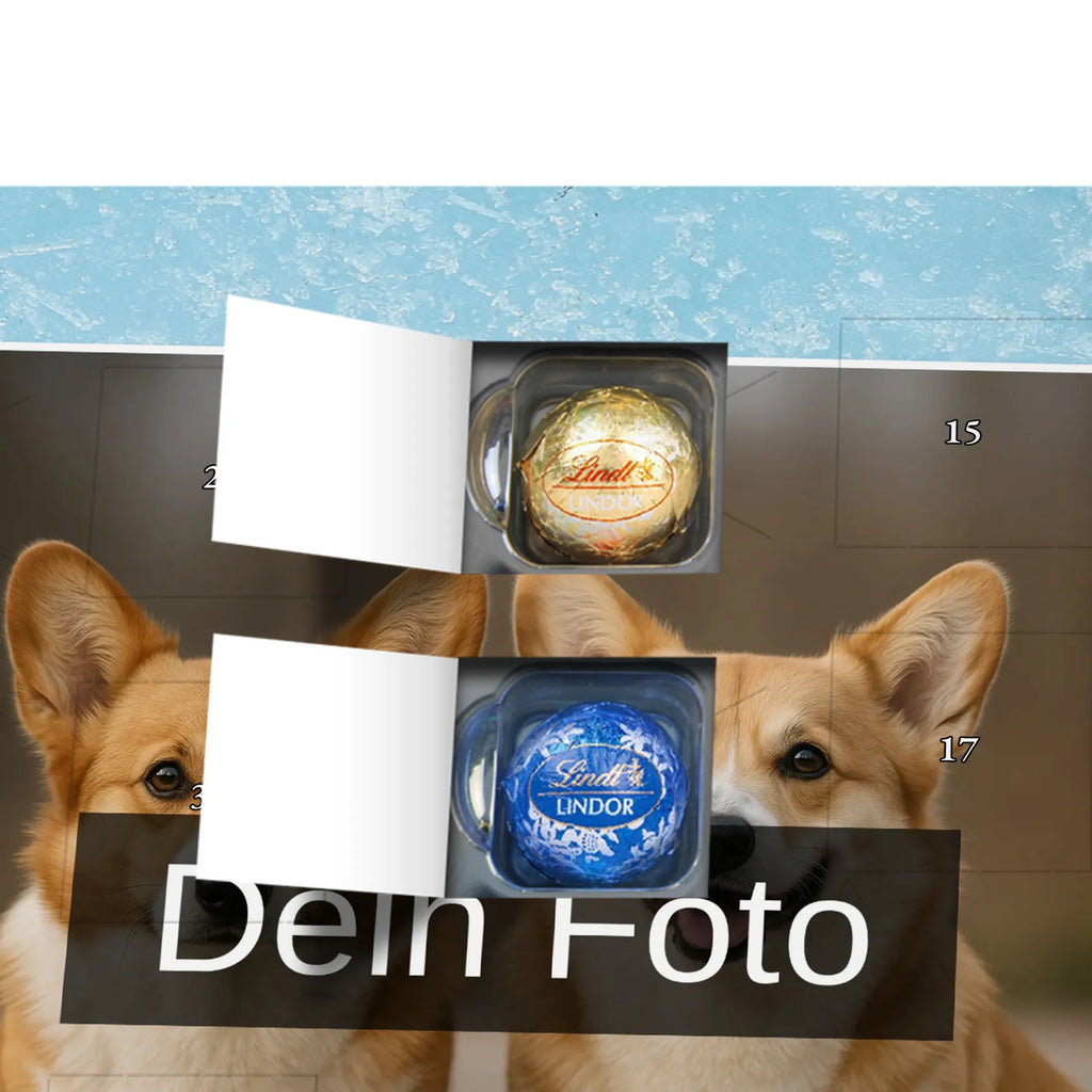  pies Jamnik Pies, motyw psa, zwierzę domowe, rasa psa, miłośnik zwierząt, właściciel psa, powiedzenia