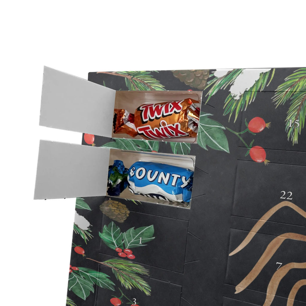  Spider Agathe Joy Spider Agathe, Spider