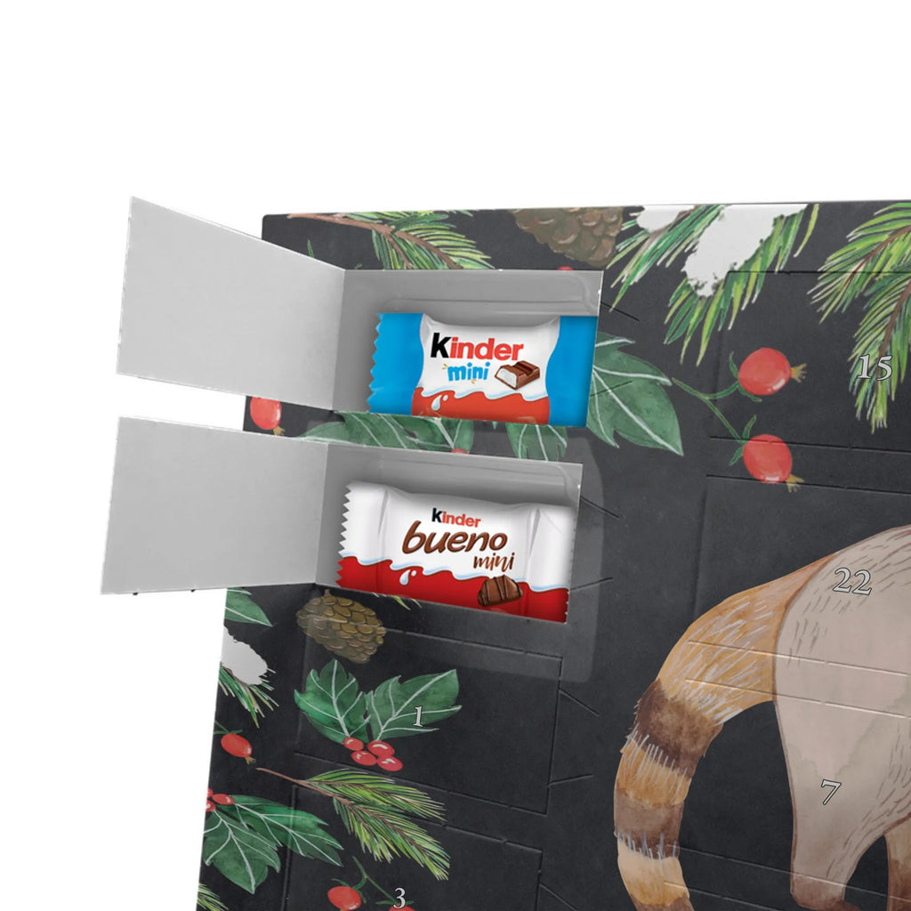 Adventskalender mit Namen Nasenbär Adventskalender mit Namen, Personalisierter Adventskalender, Tiere, Tiermotive, Lustige Sprüche, Gute Laune, Bär, Rüsselbär, Nasenbär, Nasenbären