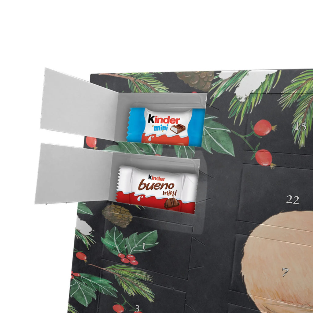  lis pustynny kwiaty dzikie zwierzęta, Afryka