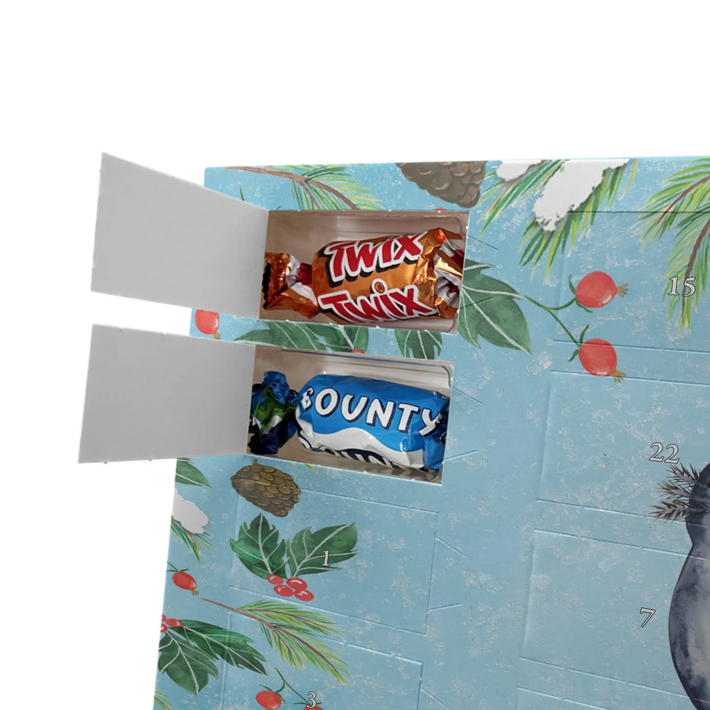  Axolotl Przyjaciółka Axolotl, Molch