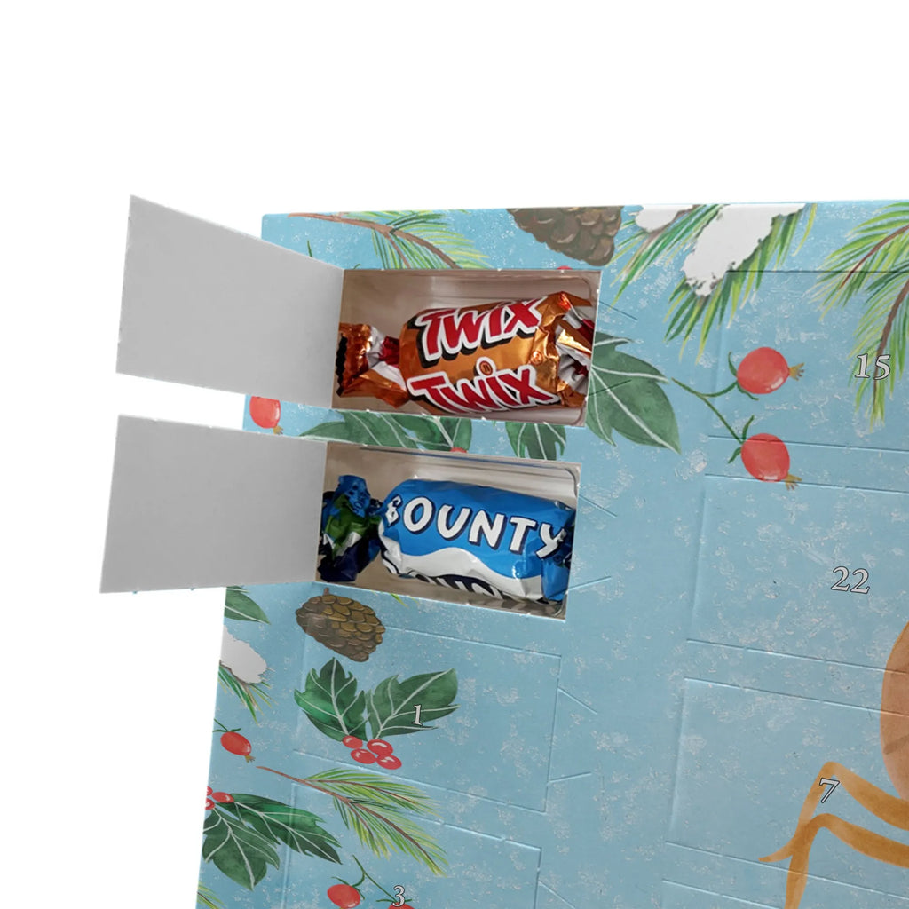 Adventskalender mit Namen Sternzeichen Skorpion Personalisierter Adventskalender, Adventskalender mit Namen, Sternzeichen, Tierkreiszeichen, Astrologie, Aszendent, Horoskop, Skorpion Sternzeichen, Geschenk November, Skorpion Geschenk, Geschenk Oktober, Geburtstag Oktober, Skorpione, Geburtstag November