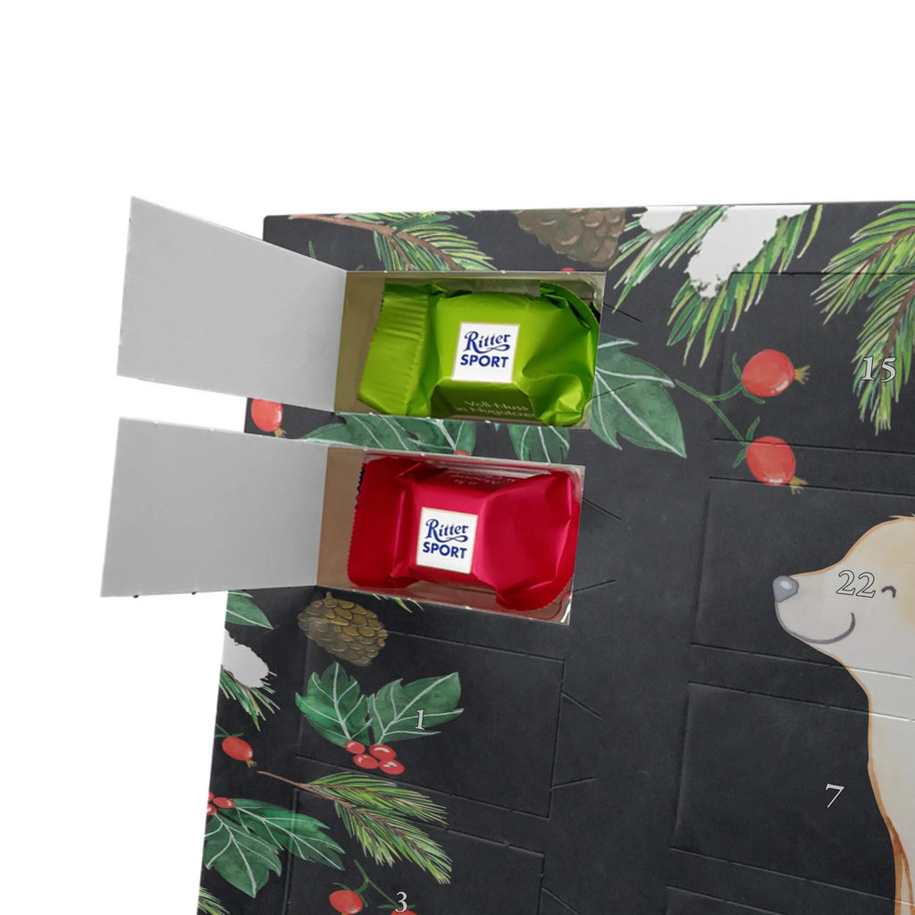  Golden Retriever moment gift, animal lover, giving, dog breed, purebred dog, dog owner, puppy