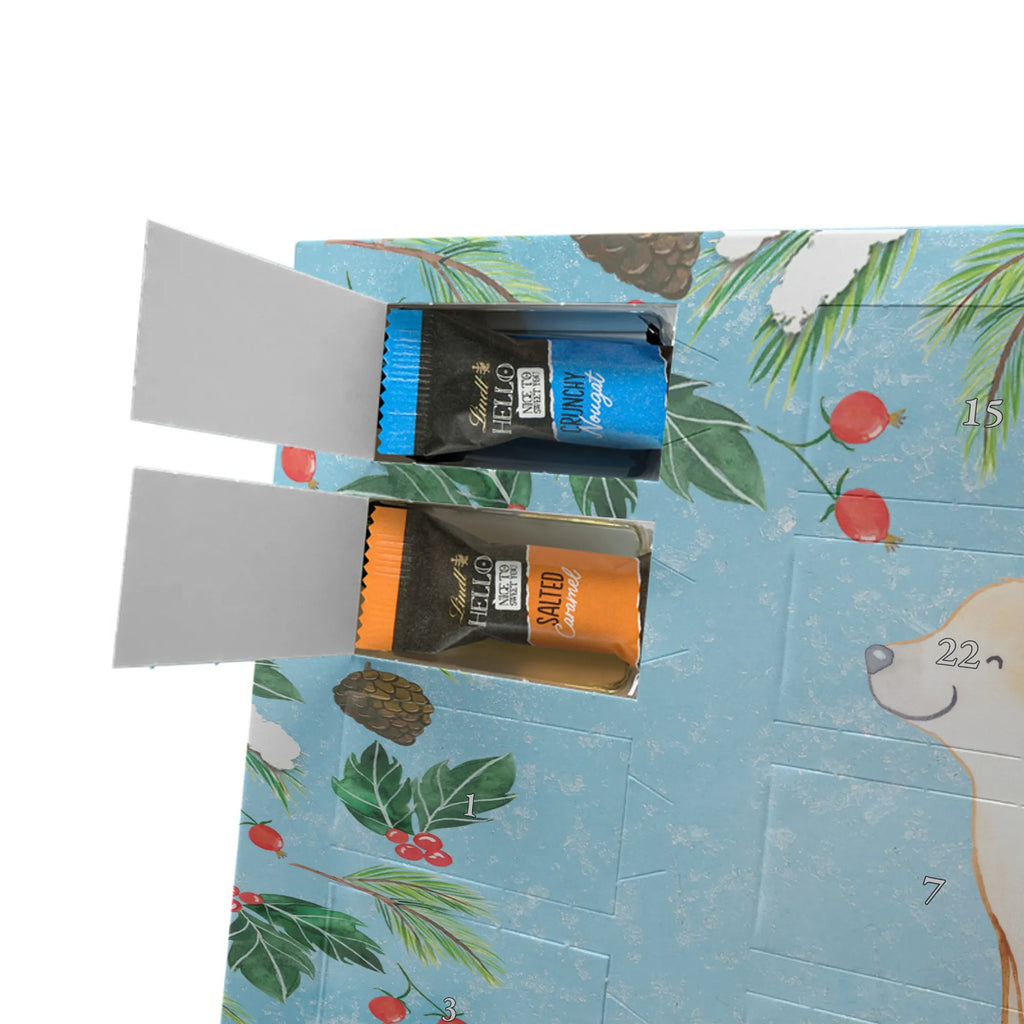  Golden Retriever moment gift, animal lover, giving, dog breed, purebred dog, dog owner, puppy