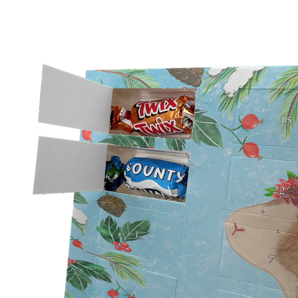 Adventskalender mit Namen Meerschweinchen Weisheit Adventskalender mit Namen, Personalisierter Adventskalender, Gute Laune, Tiermotive, Lustige Sprüche, Tiere, Wunderland, Wunder, Blumenkind, Weisheit, Meerschweinchen, Motivation, Realität, Meerie, Spruch, Meeries