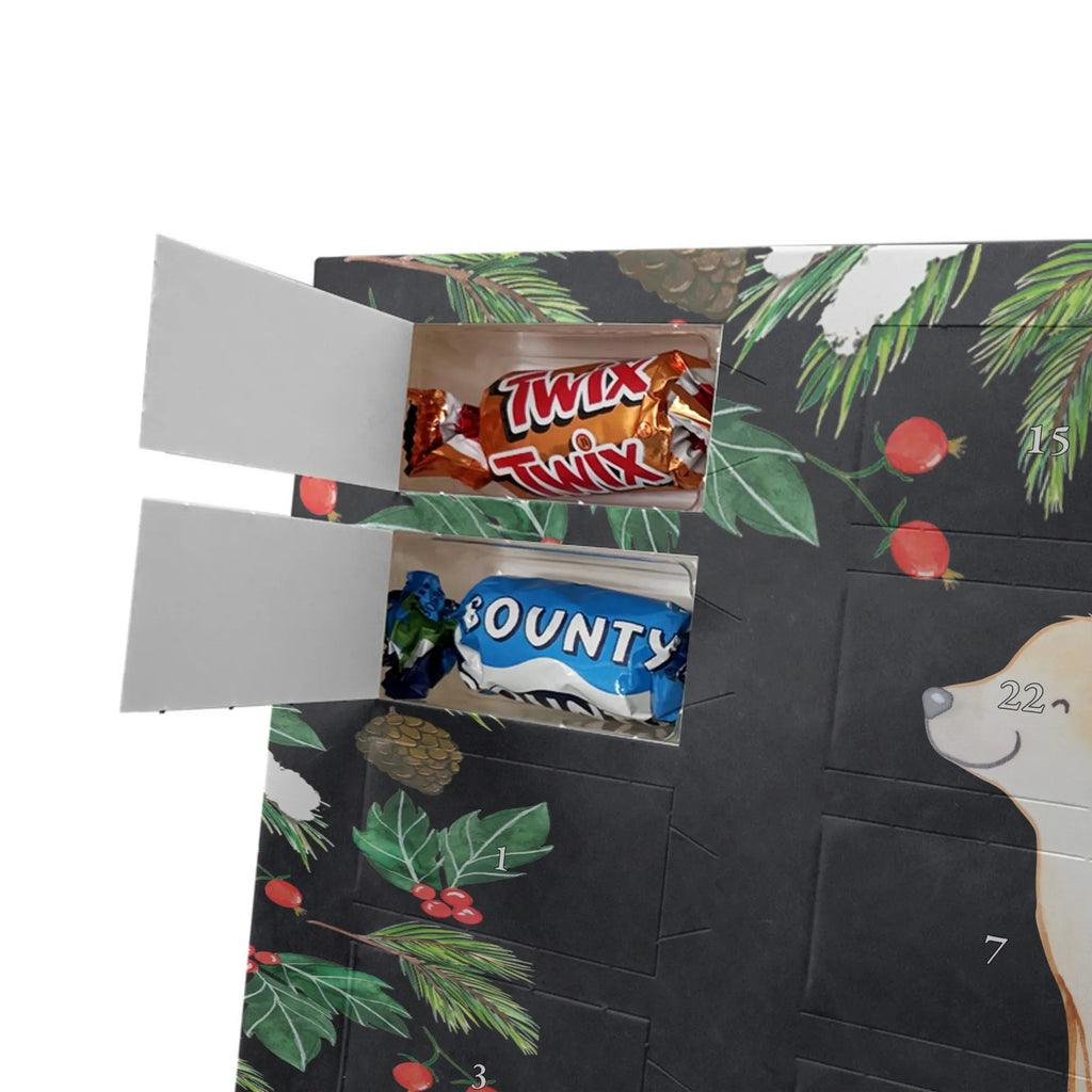  Golden Retriever moment gift, animal lover, giving, dog breed, purebred dog, dog owner, puppy