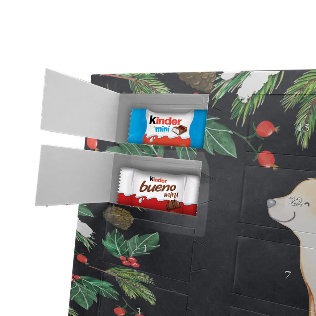  Golden Retriever moment gift, animal lover, giving, dog breed, purebred dog, dog owner, puppy