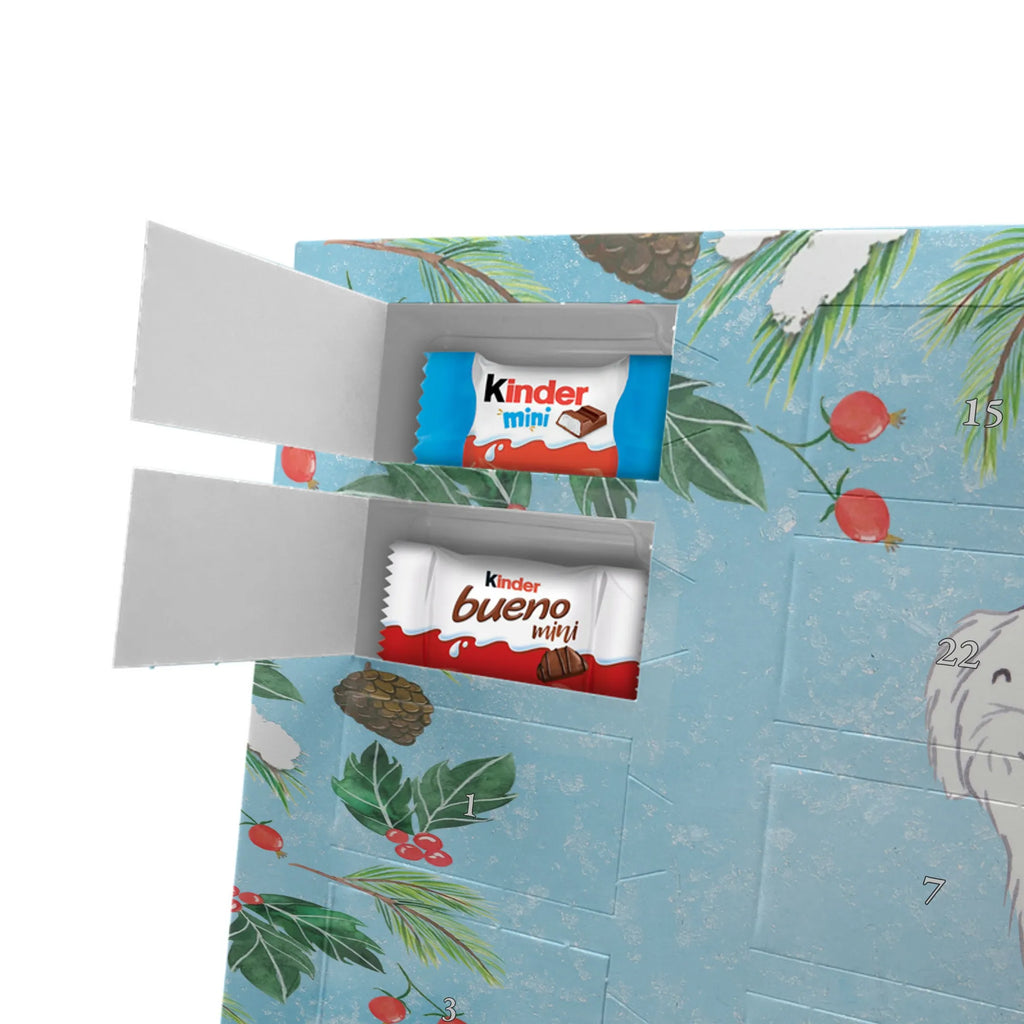 Adventskalender mit Namen Malteser Moment Personalisierter Adventskalender, Adventskalender mit Namen, Schenken, Hundebesitzer, Rassehund, Hunderasse, Welpe, Hund, Geschenk, Tierfreund, Malteser