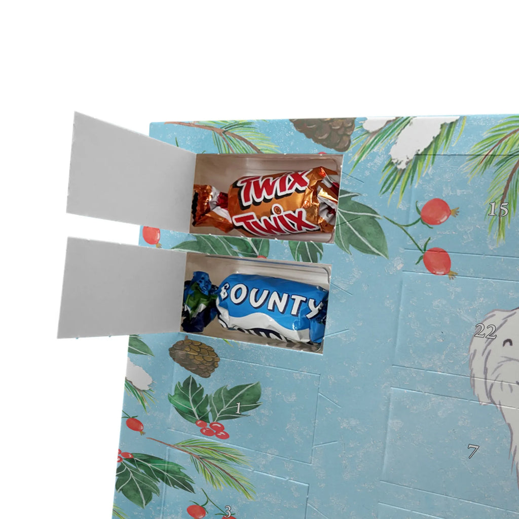 Adventskalender mit Namen Malteser Moment Personalisierter Adventskalender, Adventskalender mit Namen, Schenken, Hundebesitzer, Rassehund, Hunderasse, Welpe, Hund, Geschenk, Tierfreund, Malteser