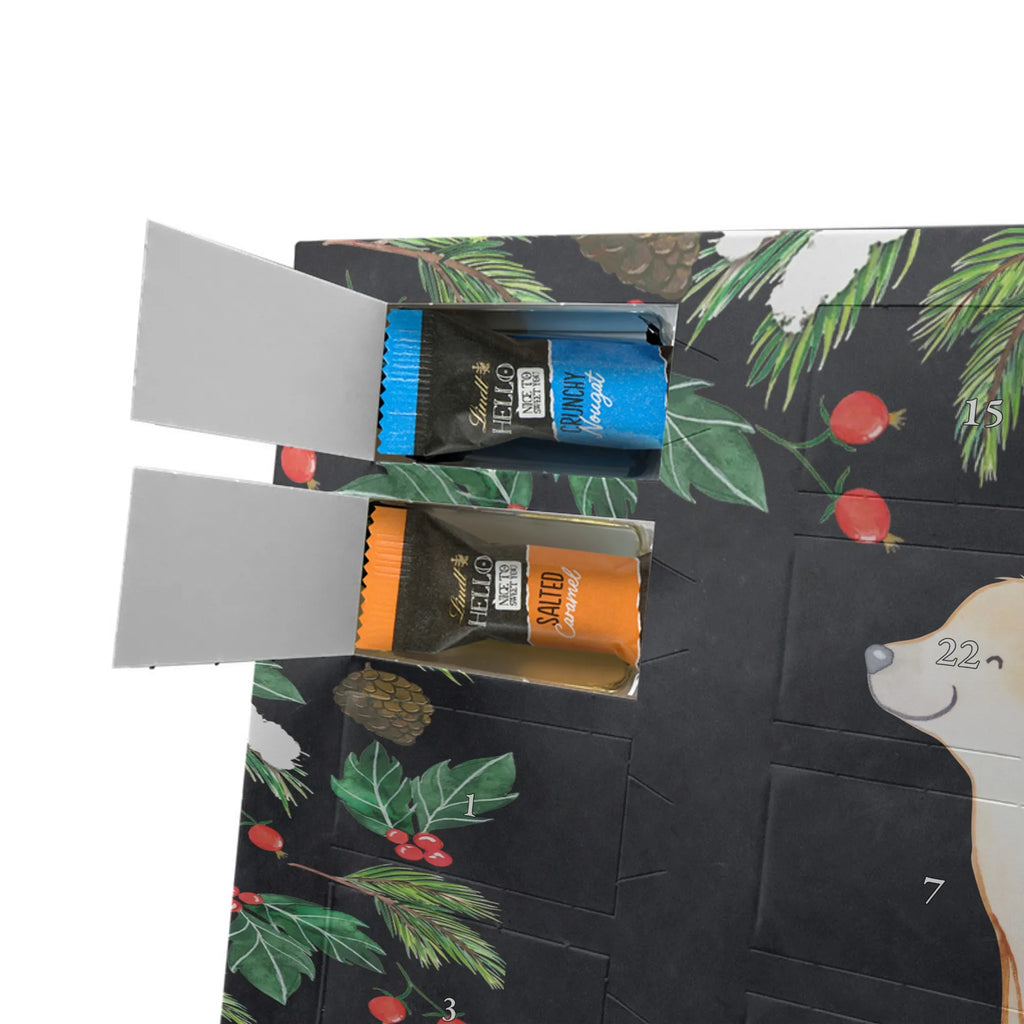  Golden Retriever moment gift, animal lover, giving, dog breed, purebred dog, dog owner, puppy