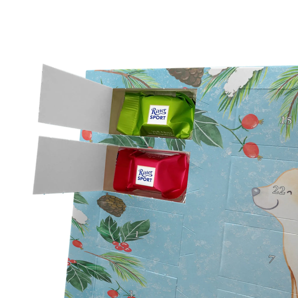  Golden Retriever moment gift, animal lover, giving, dog breed, purebred dog, dog owner, puppy