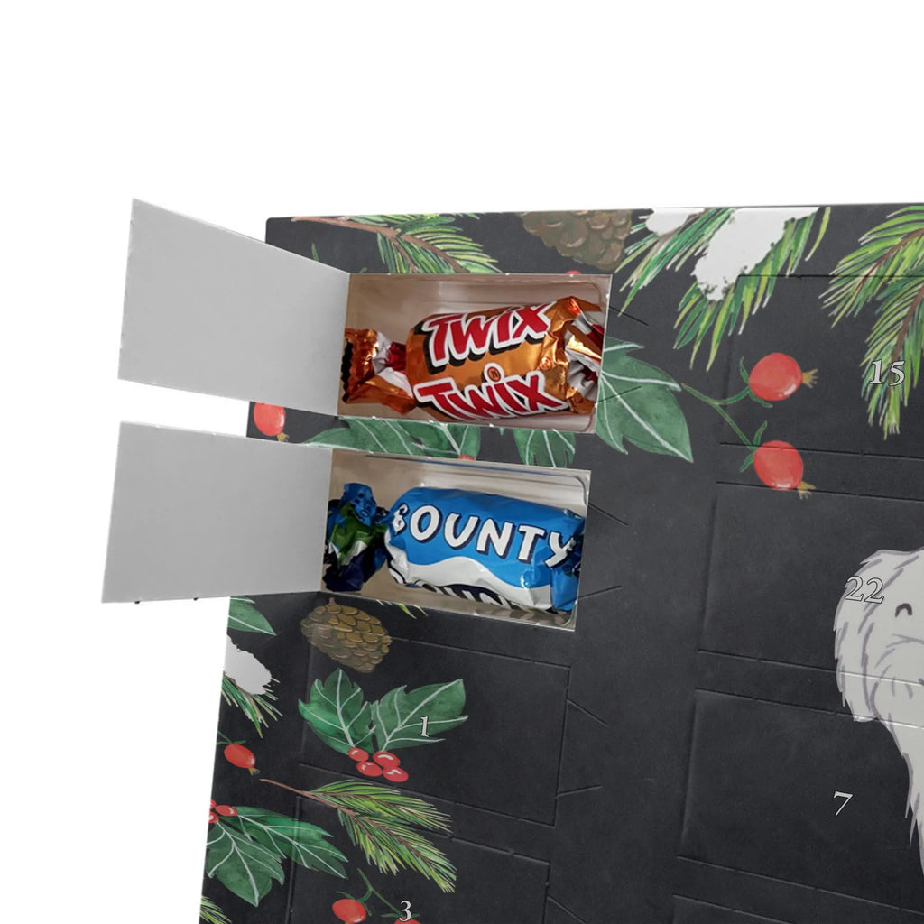 Adventskalender mit Namen Malteser Moment Personalisierter Adventskalender, Adventskalender mit Namen, Schenken, Hundebesitzer, Rassehund, Hunderasse, Welpe, Hund, Geschenk, Tierfreund, Malteser