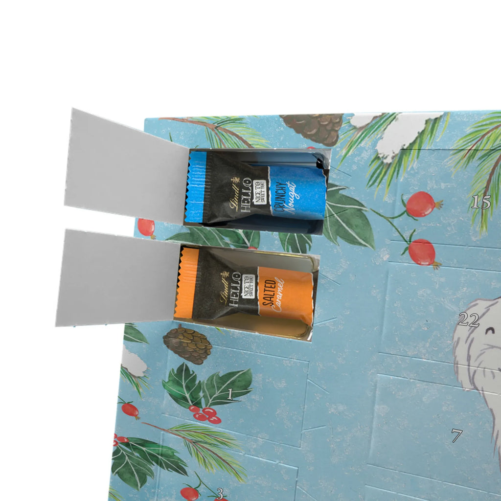 Adventskalender mit Namen Malteser Moment Personalisierter Adventskalender, Adventskalender mit Namen, Schenken, Hundebesitzer, Rassehund, Hunderasse, Welpe, Hund, Geschenk, Tierfreund, Malteser