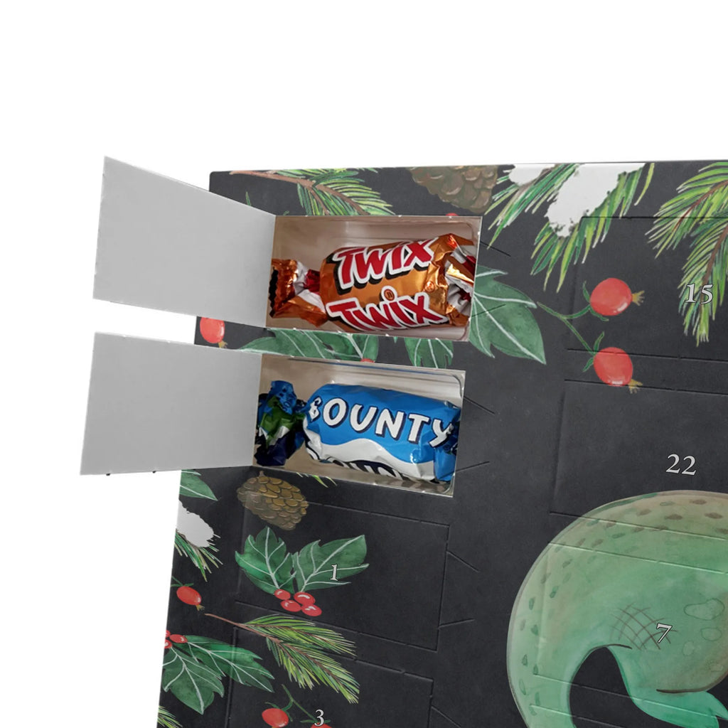  Krokodyl Morze, Wakacje, Zwierzeta morskie