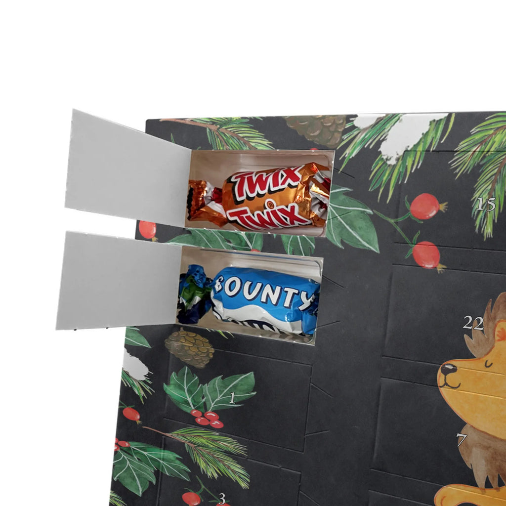  znak zodiaku lew ascendent, astrologia, Znak zodiaku, gwiazdozbiór