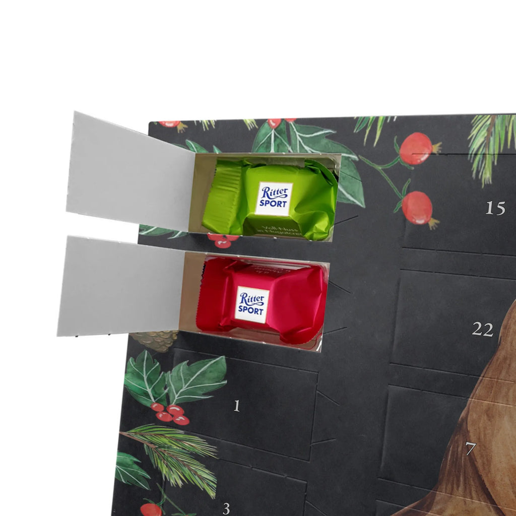 Schokoladen-Weihnachtskalender Rotkehlchen Schlitten schokokalender, Schokoladen-Weihnachtskalender, Weihnachts Kalender, Schokoladen Adventskalender, Weihnachtskalender Schokolade, Schokoladen-Adventskalender, Adventskalender Schokolade, schokoladenkalender, schoko kalender, kalender schokolade, adventskalender süßigkeiten, kalender weihnachten, süßigkeiten kalender, Schoko Adventskalender, schoko weihnachtskalender, pralinen adventskalender, süßigkeiten adventskalender, Weihnachten Adventskalender, adventskalender schoko, schokolade adventskalender, adventskalender pralinen, Weihnachtskalender, Adventskalender, weihnachtskalender schoko, Schoko-Adventskalender, schokoladen kalender, Heiligabend, Weihnachten, Winter, Advent, Weihnachtsdeko, Nikolaus, Wintermotiv, Schlitten, Vogel